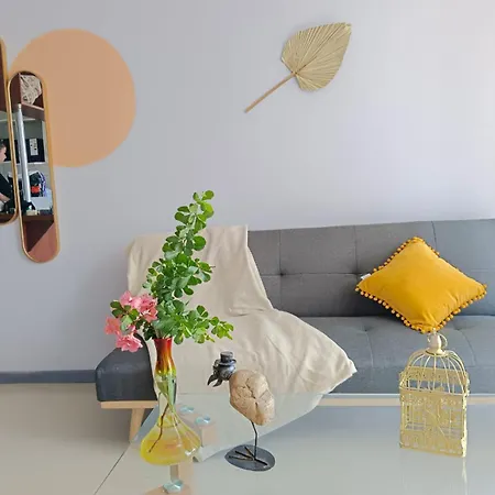 Vivir En Santiago Apartamento
